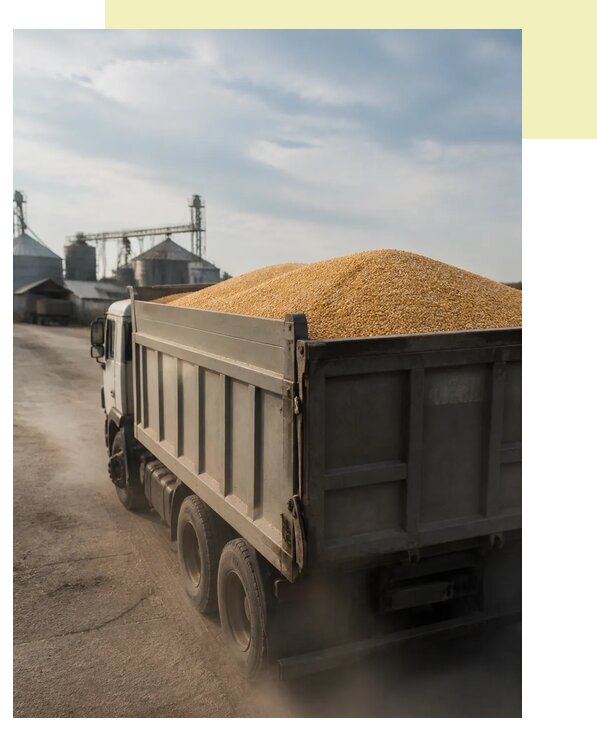 Перевозка сельхозпродукции навалом в Партизанск по цене от 3220 р. | Агросервис-Прт